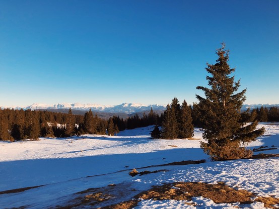 An open space in the mountains with a view to the peaks of the Dolomites