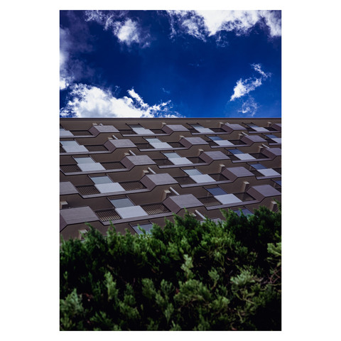 The image frames a moment of architectural harmony, where the structured pattern of apartment windows aligns with the natural order of a well-manicured hedge. The building's façade, a study in symmetry and design, contrasts beautifully with the organic forms of the hedge and the vast expanse of the sky, creating a scene of urban design meeting nature's artistry.
