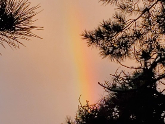Special guest appearance: a rainbow to the east.  A fediverse friend of mine posted a pic of the double rainbow that showed up in SF this morning -- this one is not as fancy, but was a pleasant surprise nonetheless.