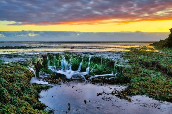 A mini waterfall by an exposed sea shelf covered by seaweeds against the backdrop of sunset and fish scales of sky in Portsea Mornington Melbourne 
