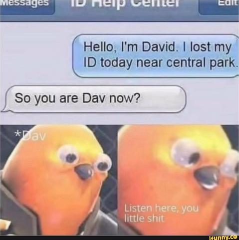 A text message meme with “Hello, I’m David. I lost my ID near Central Park.” The other person texts back “So you are Dav now?” Then there’s a bird with the caption “listen here you little s**t”