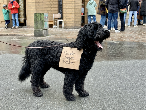 Schwarzer Hund mit geöffnetem Maul steht auf einer Strasse und schaut mit Pappschild an seiner Schulter nach rechts. Auf dem Schild steht Hunde gegen Rechts. 