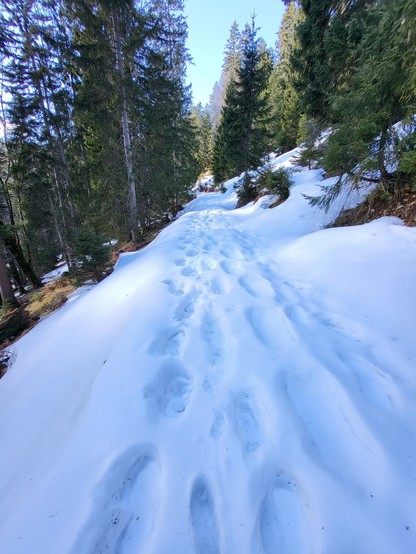This image captures a tranquil winter scene, where a path has been blanketed by snow. The path is marked by a series of footprints, leading one to imagine a solitary hiker braving the chill. The path is surrounded by a number of trees, their bare branches lending a stark contrast to the white snow. The picture evokes a sense of serenity and isolation, typical of a freezing winter's day. One can also discern the faint silhouette of a mountain in the background, adding a touch of majesty to the l…