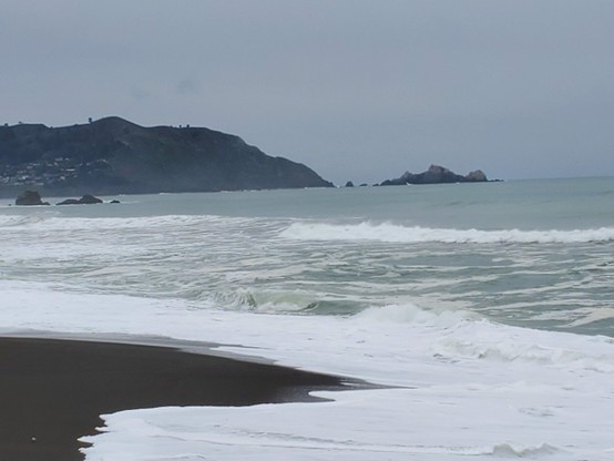 I showed my father's widow and her friend my favourite beach walking spot.  Her friend had never seen the Pacific up close; he sat mesmerized for many, many minutes. 