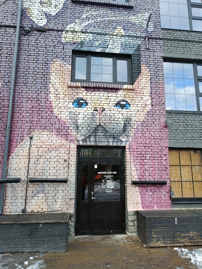 A cat with bright eyes mural is painted on the wall 