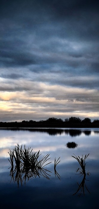 At the edge of a marsh pond, looking out over still waters that reflect gloomy bands of cloud in early autumn. A dark stretch of shrubs and cattails at the horizon separates the mirroring pond from the sky.