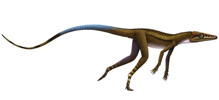 Criatura similar a un cocodrilo con cuerpo fino y cuartos traseros largos.
