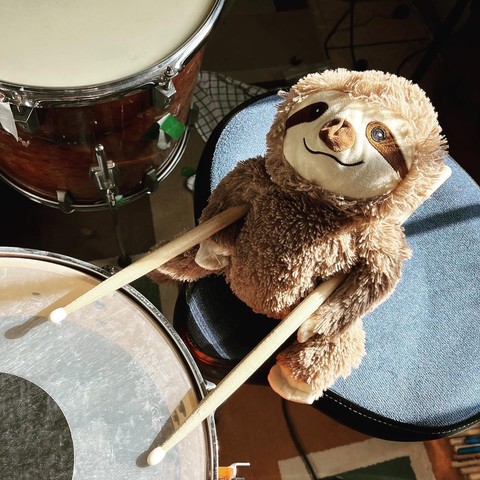 sloth playing drums