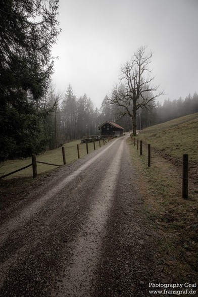 This is an image of a tranquil rural scene, dominated by soft contrasts of black, white, and shades of grey. A dirt road, almost appearing winter-frosted, snakes its way through the landscape, inviting the viewer to follow it towards a solitary house nestled in the distance. On either side of the road, grassy plains extend outwards, punctuated by the occasional tree. These trees seem to stand as sentinels, their leafless branches reaching out into the foggy sky above. The overall atmosphere is …