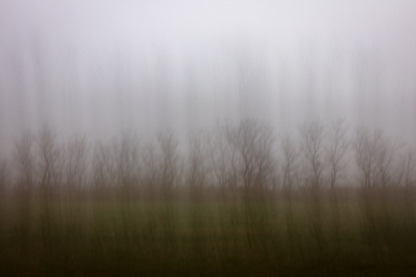 Foto de árboles con niebla usando el movimiento de cámara para hacer un desenfoque creativo.

Photo of trees in the fog using the camera movement to do a creative defocusing.