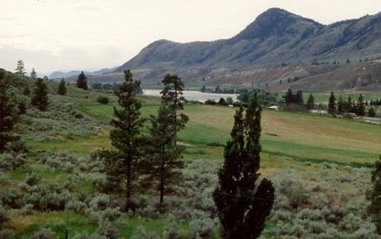 Grasslands with scattered trees butt up to a lake or river, with high hills on the opposite shore.