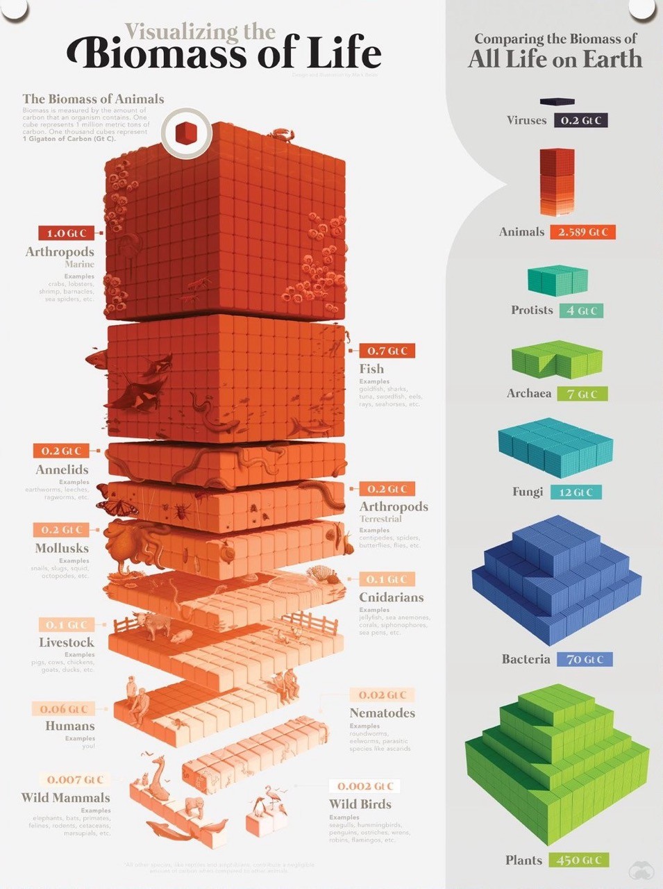 An info graphic depicting the amount and type of carbon based life on the planet with cubes that each represent a million tons of carbon.