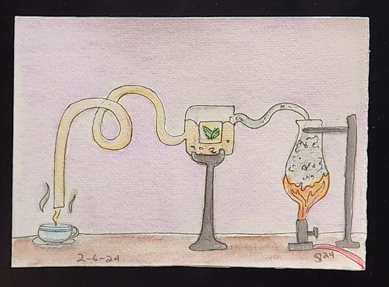 Watercolor painting of someone using chemistry equipment to brew a cup of mint tea.