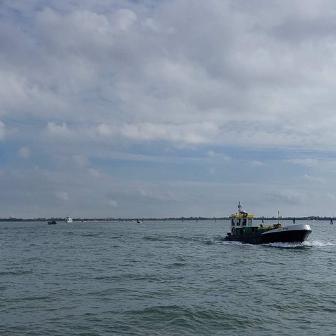 Buongiorno. Oh, Susanna is getting some new goods. I'll have to stop by her alimentari right after. Saluti, Mafalda Cinquetti