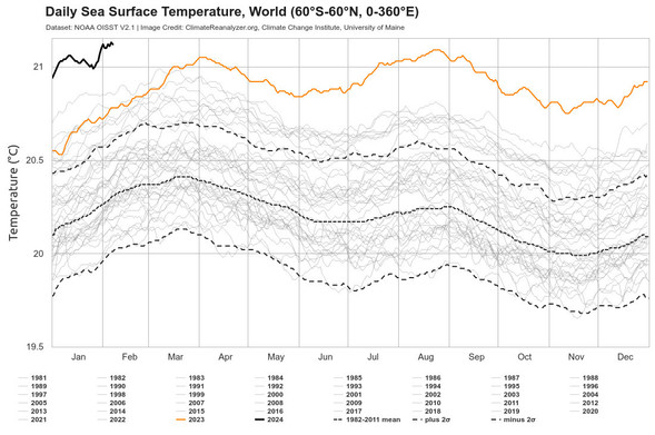 the plot of the daily sea surface temperature
