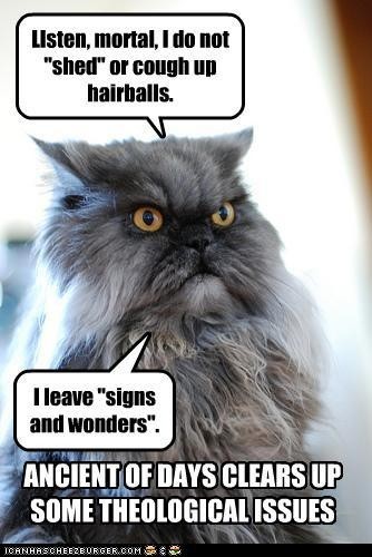 Ye olden Lolcat meme, with a stately looking grey Persian cat wearing a haughty expression. Text bubble reads "Listen mortal, I do not "shed" or cough up hairballs. I leave "signs and wonders." Meme text at bottom reads "Ancient of days clears up some theological issues."