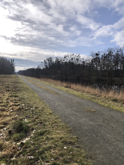 Im Sonnenschein am Havellanal, ein Kiesweg auf der Kanalböschung, im Hintergrund Uferbewuchs mit Büschen, Erlen und Eschen. 