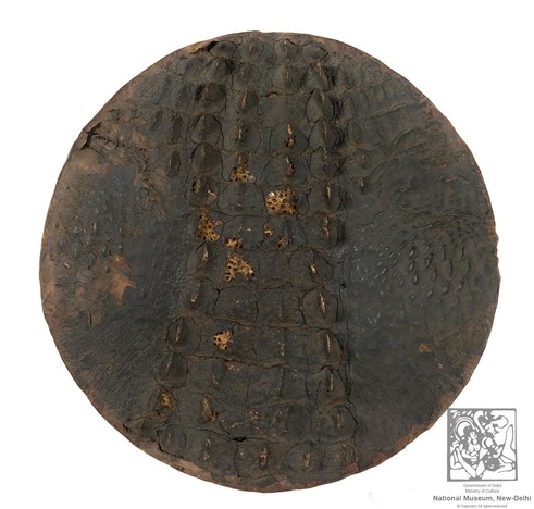 Escudo de piel de cocodrilo.