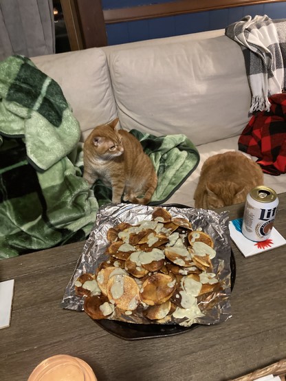 Scooby and Sibby (ginger cats) 
munching on blue cheese chips and diet beer.