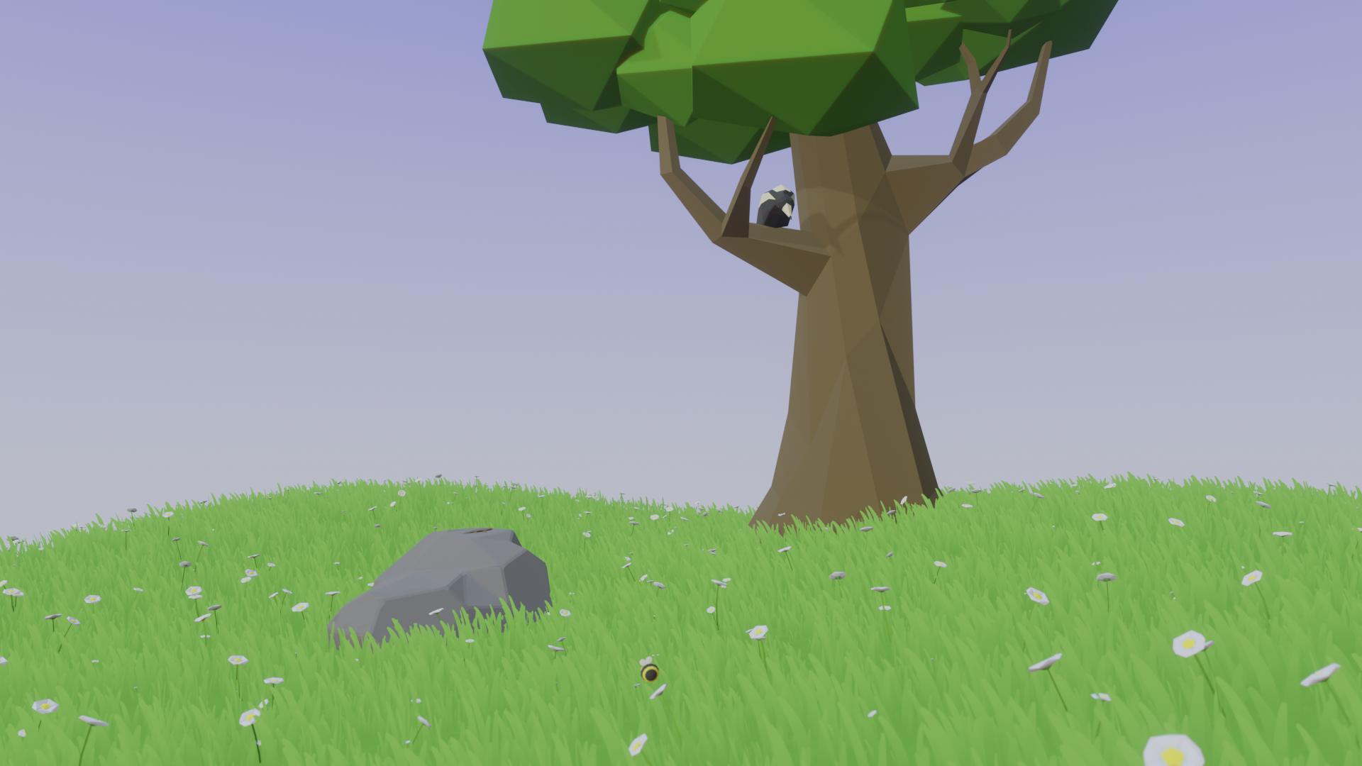 A zoomed out view of the whole scene, with bee, lizard, and Australian mapgie all in view