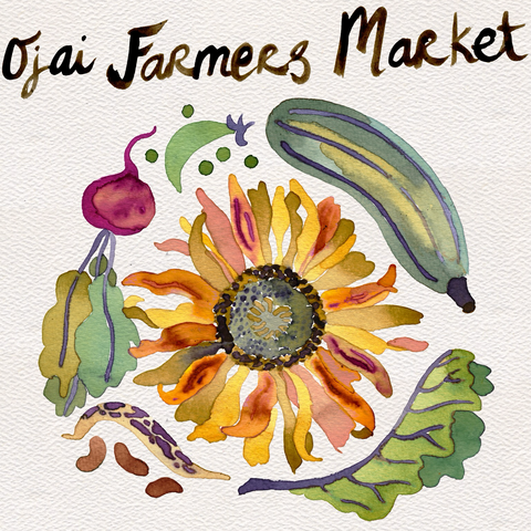 Ojai Certified Farmers Market Seed Saving / Seed Comics 