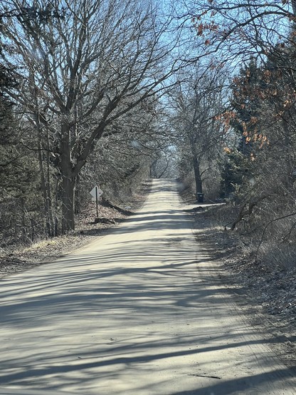 Looking down a dirt road framed by winter bare trees, coming up a hill. 