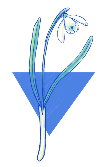 Ilustración a línea azul y mancha a color de una campanilla de invierno (flor). Detrás, aparece un triángulo equilátero azul apuntando con su vértice hacia abajo.
