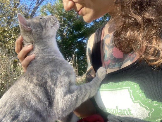 A grey cat I "met" whilst walking has his front paw on my chest and is looking up directly into my face as I caress the back of his neck. He has a look of contentment on his face and (while not evident in the photo) is purring deeply.