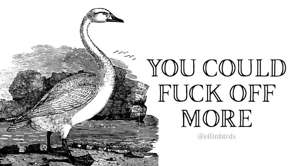 Effin' Birds (@effinbirds@mastodon.social) - Mastodon