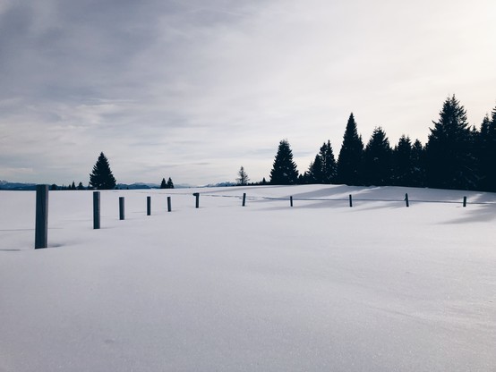 An open space covered by snow in the mountains with trees in the distance