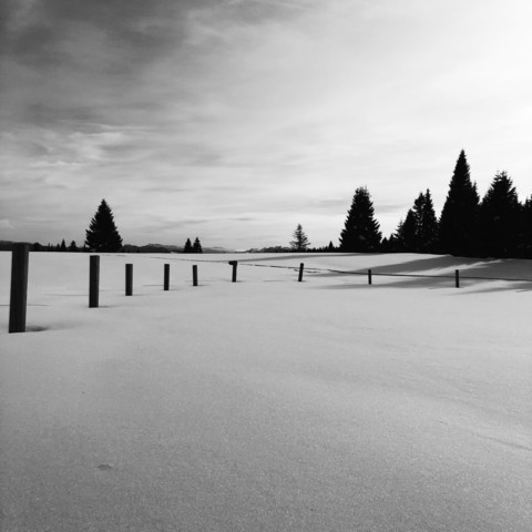 Il grande prato denominato Monte Ori interamente coperto dalla neve. Sul prato ci sono dei paletti e si vedono degli alberi in lontananza