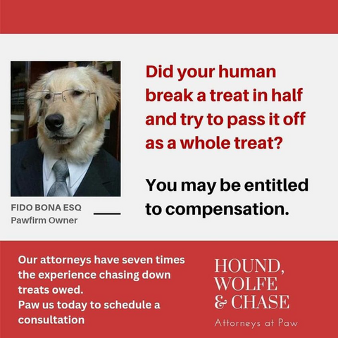 It's a 'lawyer's' business card mimicking ambulance chasers: 
Top right: A golden retriever in glasses and appearing to wear a suit.  Beneath it are the words: “FIDO BONA ESO, Pawfirm Owner.”

Top left: “Did your human break a treat in half and try to pass it off as a whole treat?  You may be entitled to compensation.”

Bottom left: “Our attorneys have seven times the experience chasing down treats owed.  Paw us today to schedule a consultation.”

Bottom right : “HOUND, WOLFE & CHASE, Attorneys at Paw.”