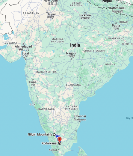 A Google Maps directions path between Nilgiri and Kodaikanal in southern India, dwarfed by the surrounding sub-continent of which it is a small part.