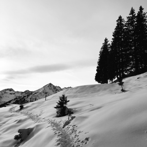 Una traccia, un sentiero nella neve con alcune cime delle montagne della Catena delle Maddalene in lontananza