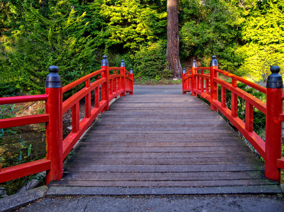 Choshi Bridge In Mingus Park! Purchase prints and more at: https://1-thom-zehrfeld.pixels.com/featured/choshi-bridge-in-mingus-park-thom-zehrfeld.html  #BuyIntoArt #Art #ThomZehrfeldPhotography #PhotographyIsArt #Photography #Fotografie
#ArtForSale #ArtMatters #MastoArt #Mastodon #ArtforInteriorDesign #HospitalityInteriors 
#InteriorDesign #Wallart #InteriorDecorating #WallArtForSale #PhotoOfTheDay #FediGiftShop  #GiftIdeas #FediArt #Prints #FediArtShop #Colorful #Nature #ChoshiBridge #MingusPark #CoosBayOregon #bridge #JapaneseDesigned #橋ーはし#Hashi  