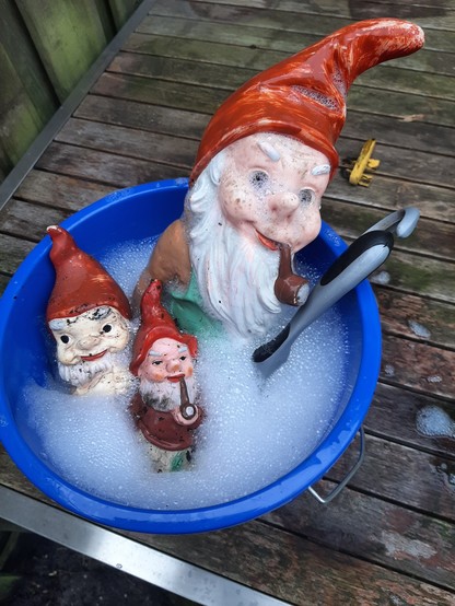 3 tuinkabouters in een bakje sop
