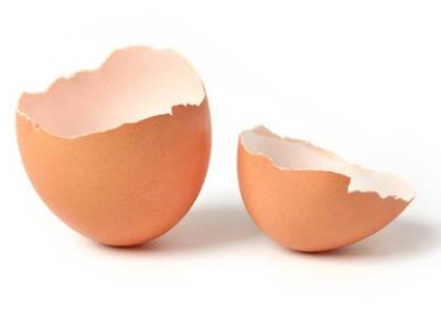 An eggshell