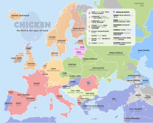 Chicken in different languages and the origin of those words