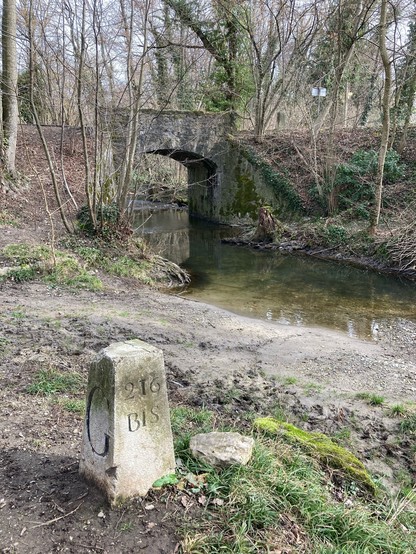 Border stone 2016b, in the mud by the river Hermance