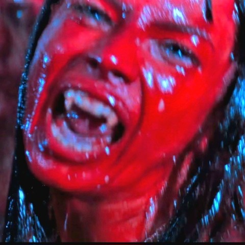 A vampire's face, covered in blood, her hair glistening wet, her teeth bared