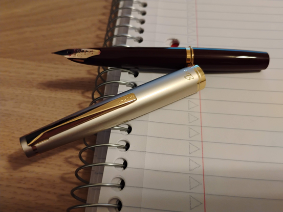 An uncapped magenta fountain pen with embedded nib, and a silver cap, nearly as long as the pen. The cap has "Pilot" on the clip and "Elite" near the ring. The nib says, "14K" and "<F>". They are resting on a spiral ring notebook.