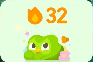 The Android Duolingo widget: a 32 with the Duolingo owl pretending not to be a shit underneath