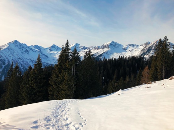 Mountain peaks in the distance and tracks in the snow