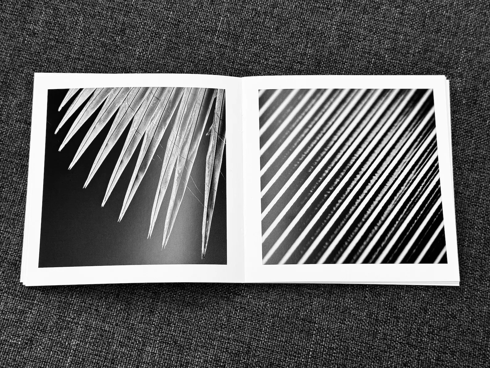 The image shows an open book with two black and white photographs on a gray fabric surface. On the left page, there's a close-up photograph of what appears to be palm fronds or similar long, narrow leaves extending diagonally across the frame from bottom left to top right, with their pointed tips lit up, creating a sense of depth and texture. The right page features a photograph with a pattern of parallel diagonal lines filling the frame, creating a visual rhythm and the illusion of movement or vibration. The lines have varying widths and spacing, suggesting they might be shadows or reflections on a ridged surface. The contrasting textures and patterns of both images create a dynamic visual experience.
