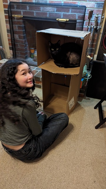 A cat and a girl.
