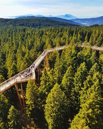 The Pohorje Treetop Walkway in Slovenia