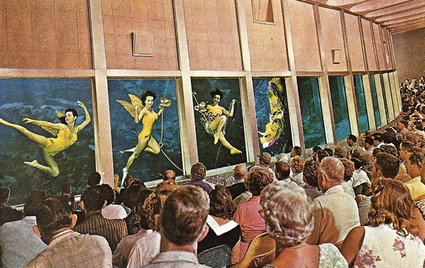 Vintage postcard image of the underwater theater at Florida's Weeki Wachee Springs featuring a view from the audience of the large windows through which "live mermaids" can be seen swimming and performing in the attraction's namesake spring