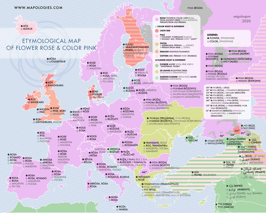 Etymology of pink, the color and the flower