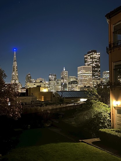 view of the San Francisco financial district Skyline at night taken from the west to the east.