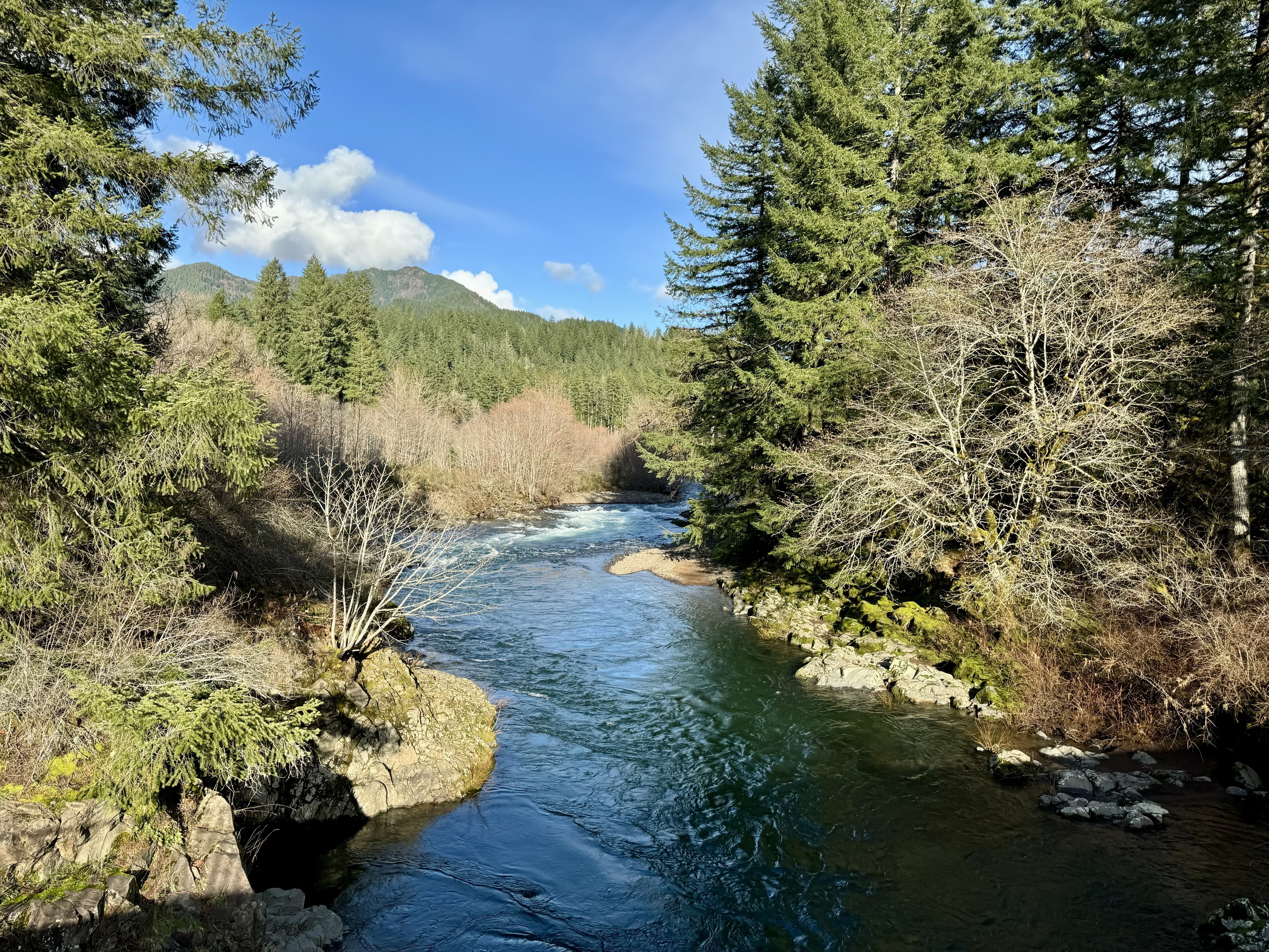 Wilson River at Jones Creek Campground. The cold river flows through a state forest filled with tall green trees. Small rapids can be seen in the distance. The river bank is rocky. Blue sky with some white fluffy clouds.
